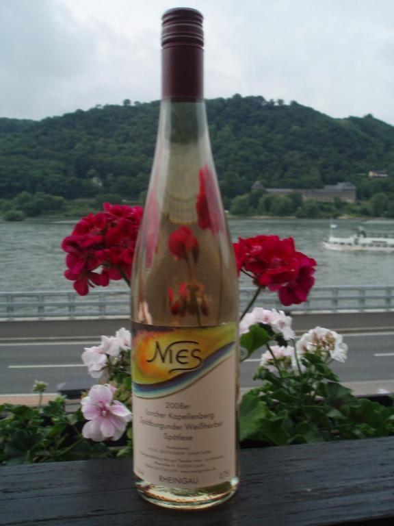 ロルヒ・アム・ラインWeingut Theodor Niesアパートメント エクステリア 写真