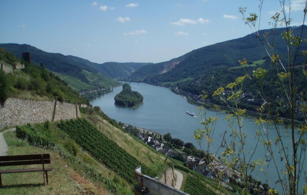 ロルヒ・アム・ラインWeingut Theodor Niesアパートメント エクステリア 写真