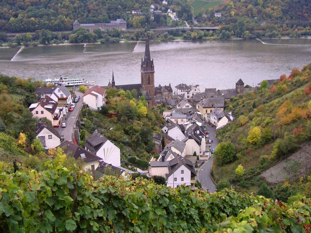 ロルヒ・アム・ラインWeingut Theodor Niesアパートメント エクステリア 写真